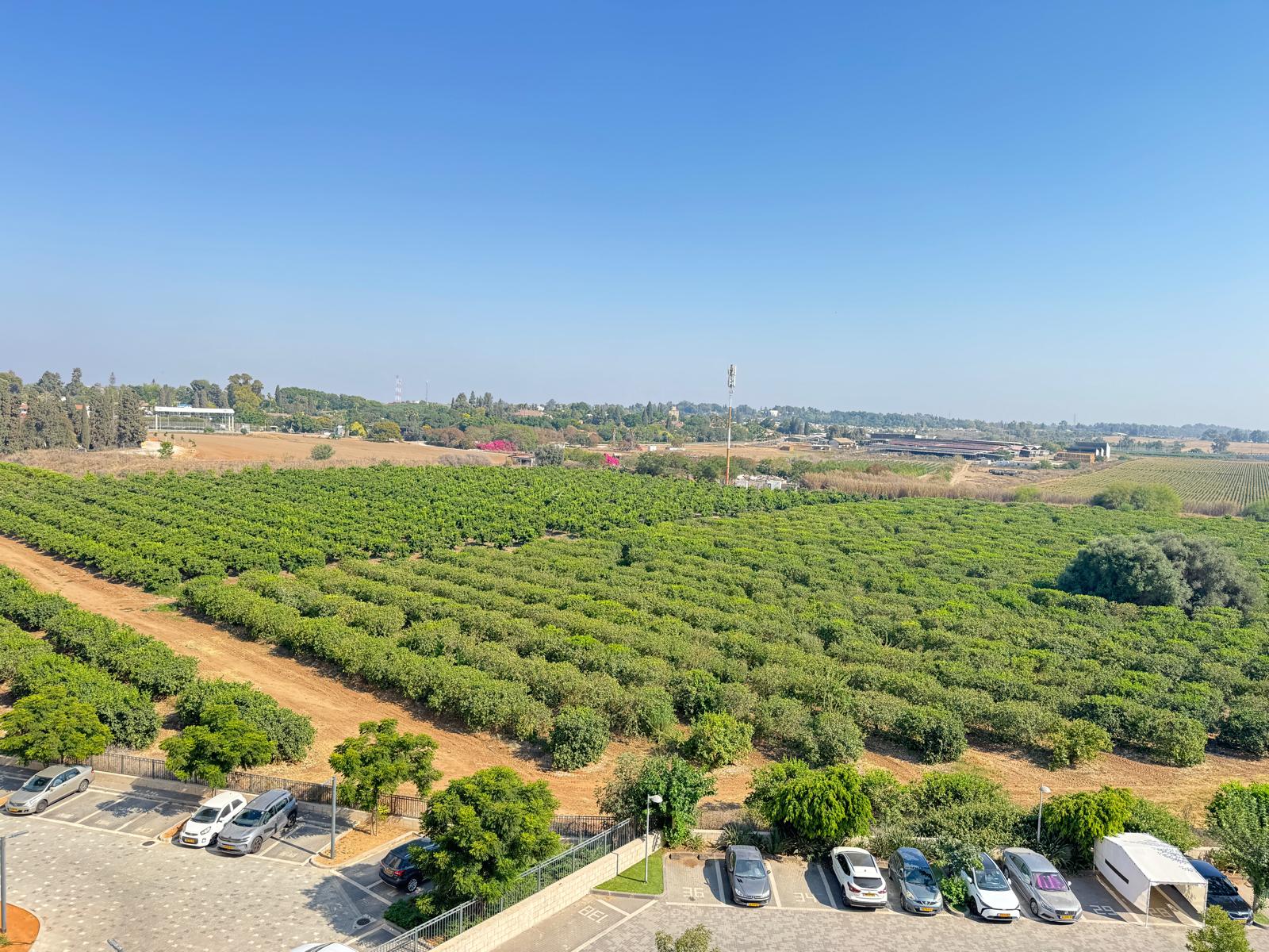 WhatsApp Image 2025-07-28 at 12.37.24