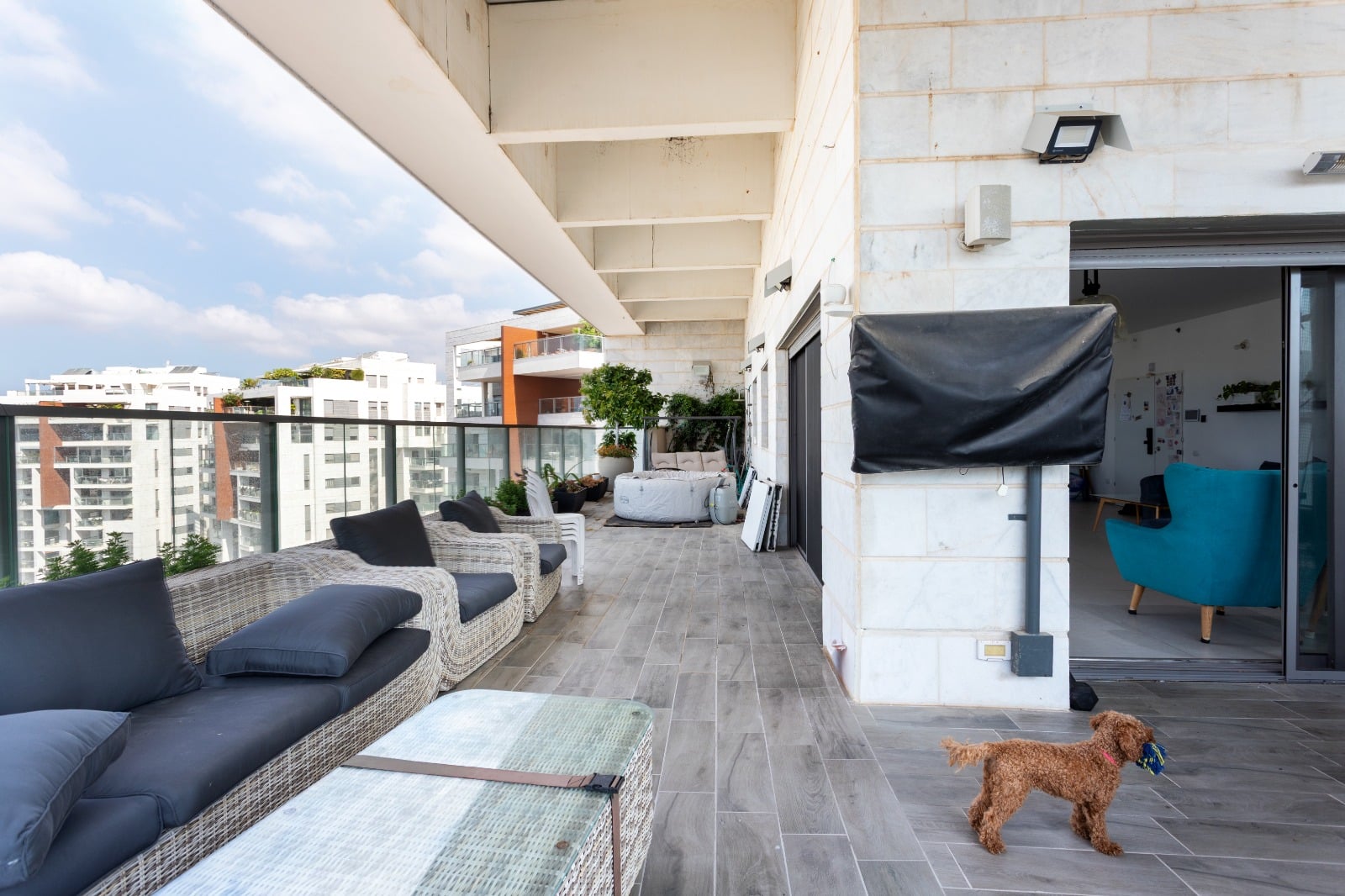 WhatsApp Image 2025-09-14 at 14.36.08 (2)