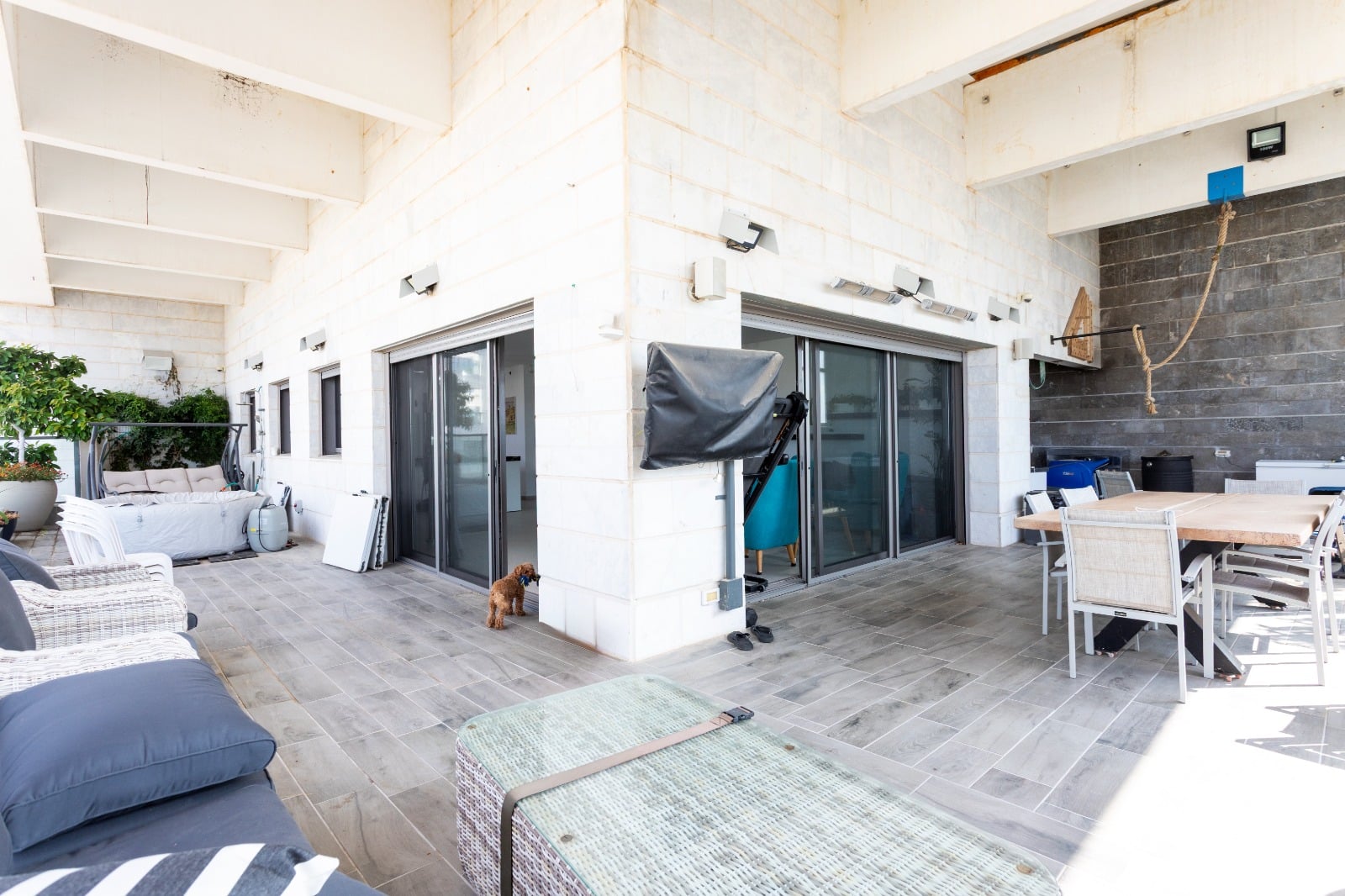 WhatsApp Image 2025-09-14 at 14.36.08