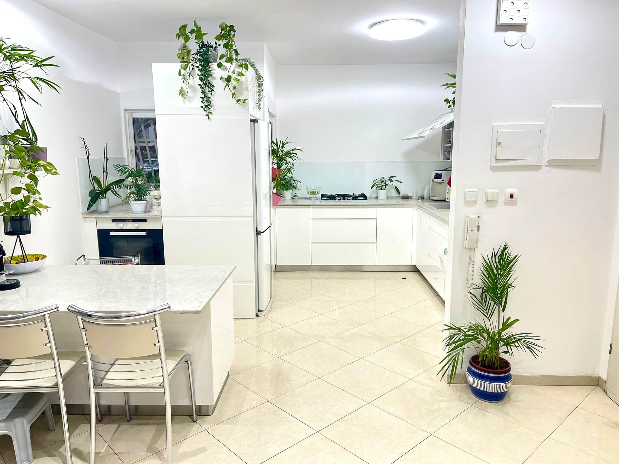 WhatsApp Image 2025-09-25 at 18.41.06