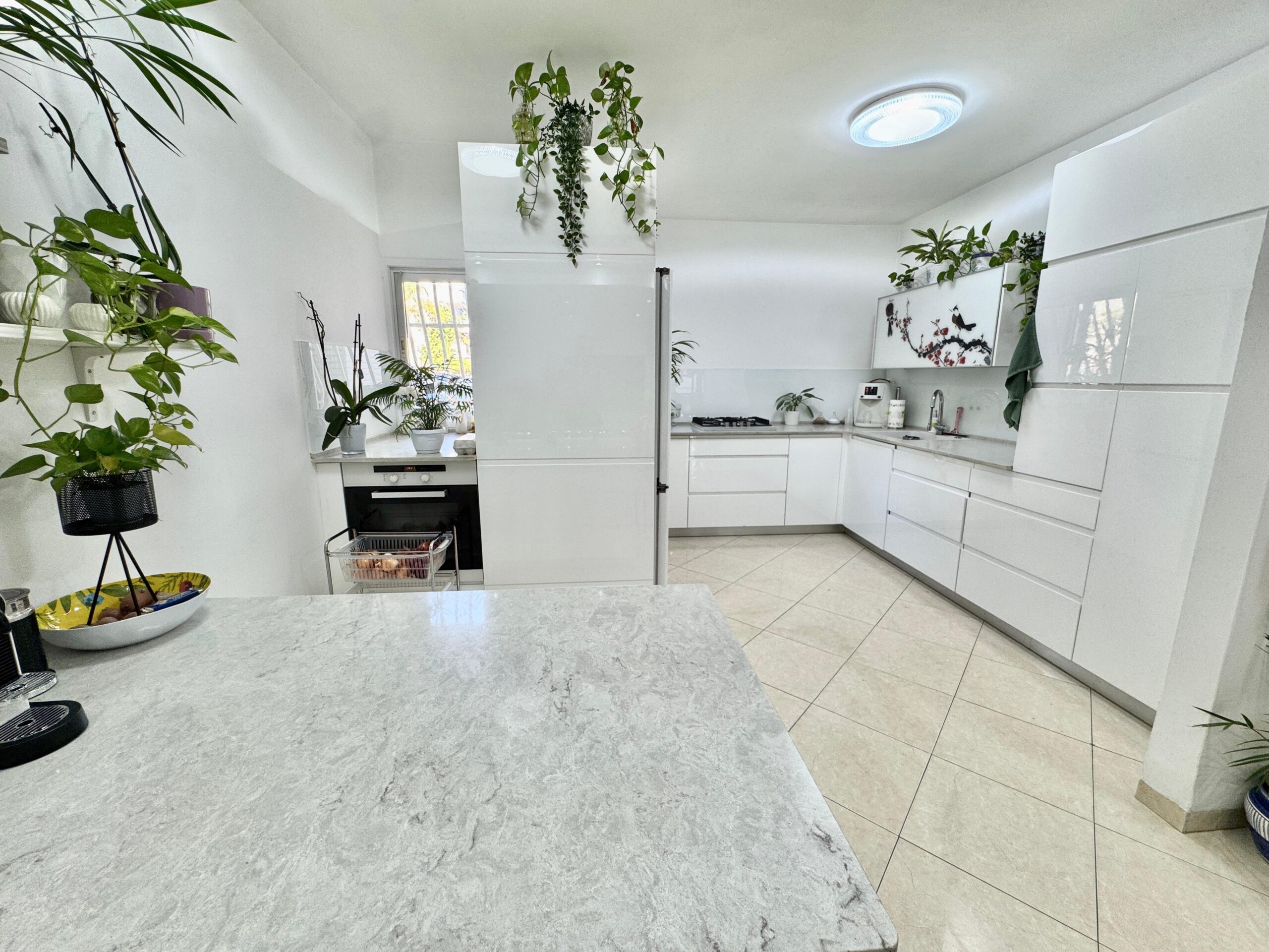 WhatsApp Image 2025-09-28 at 16.17.34