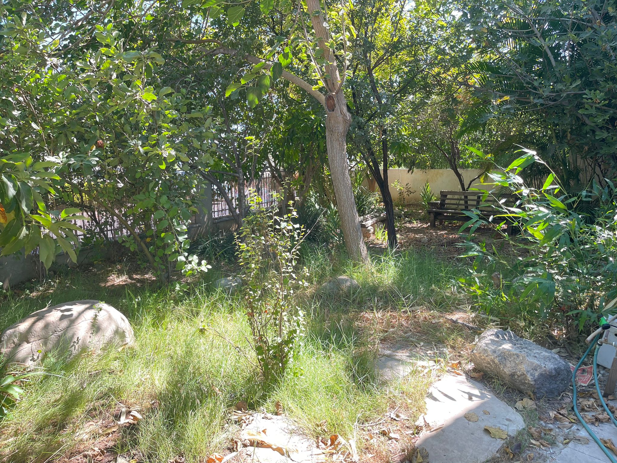 WhatsApp Image 2025-10-01 at 13.14.59