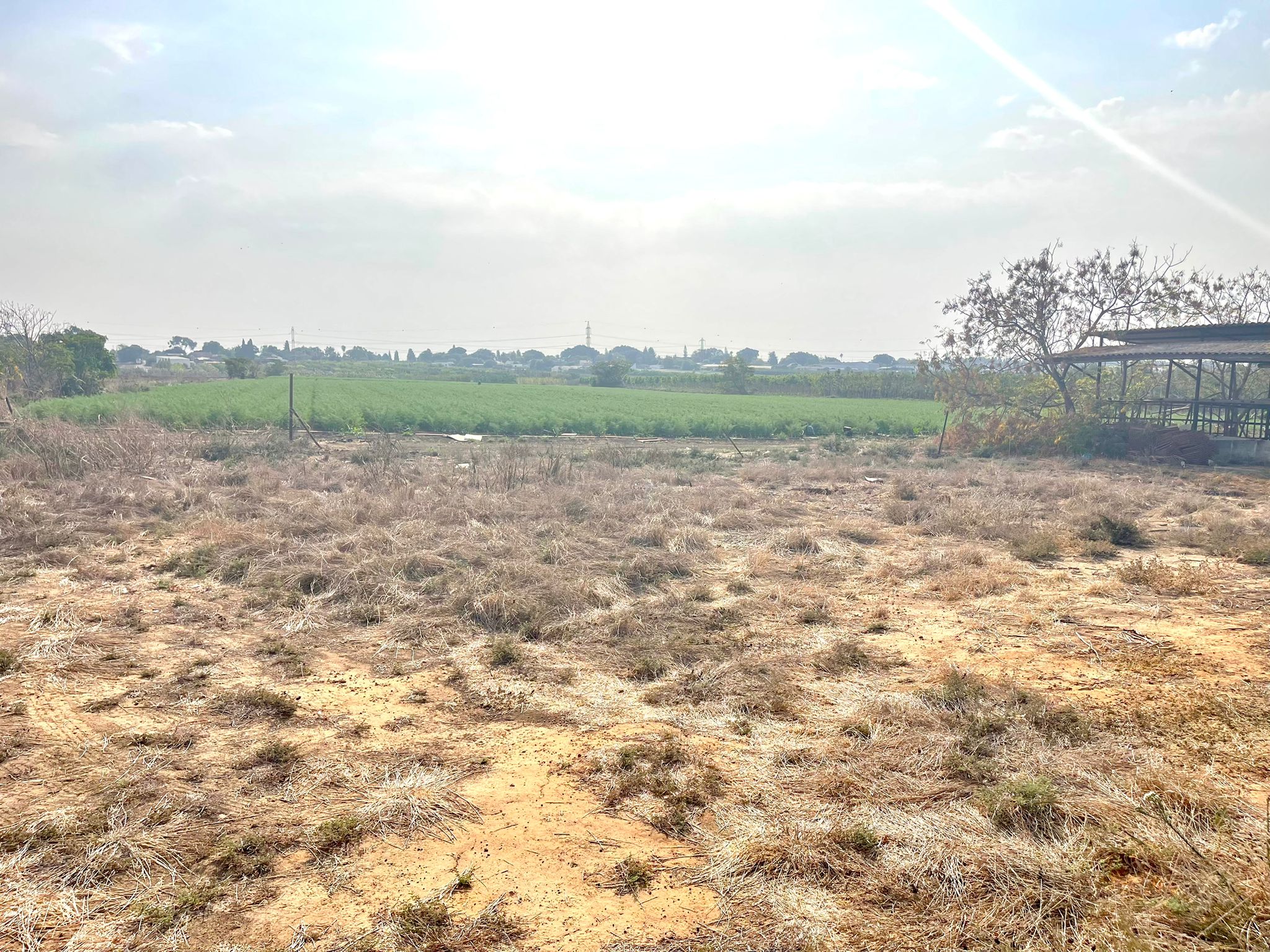 WhatsApp Image 2025-11-04 at 13.44.22