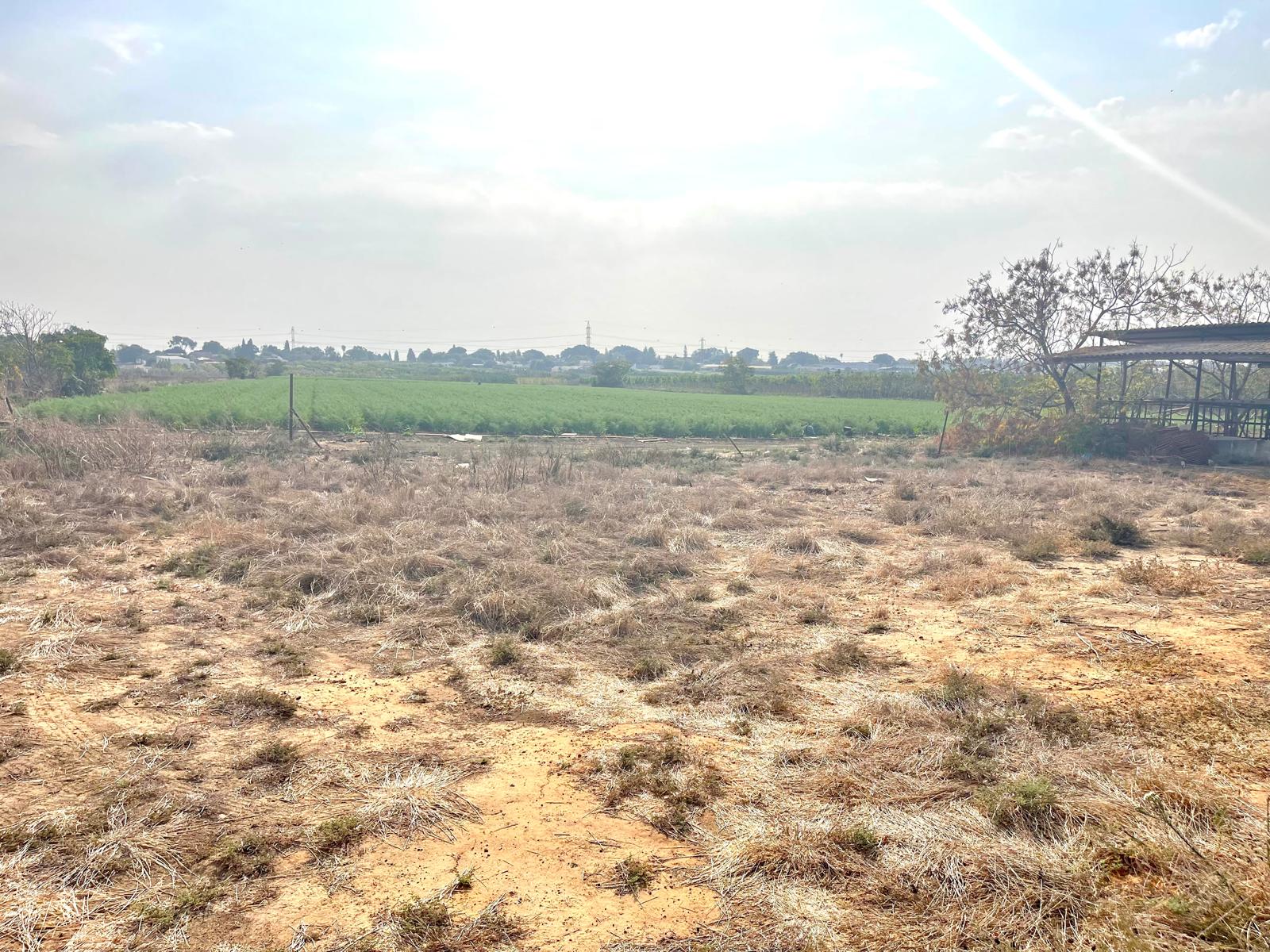 WhatsApp Image 2025-11-04 at 14.21.40