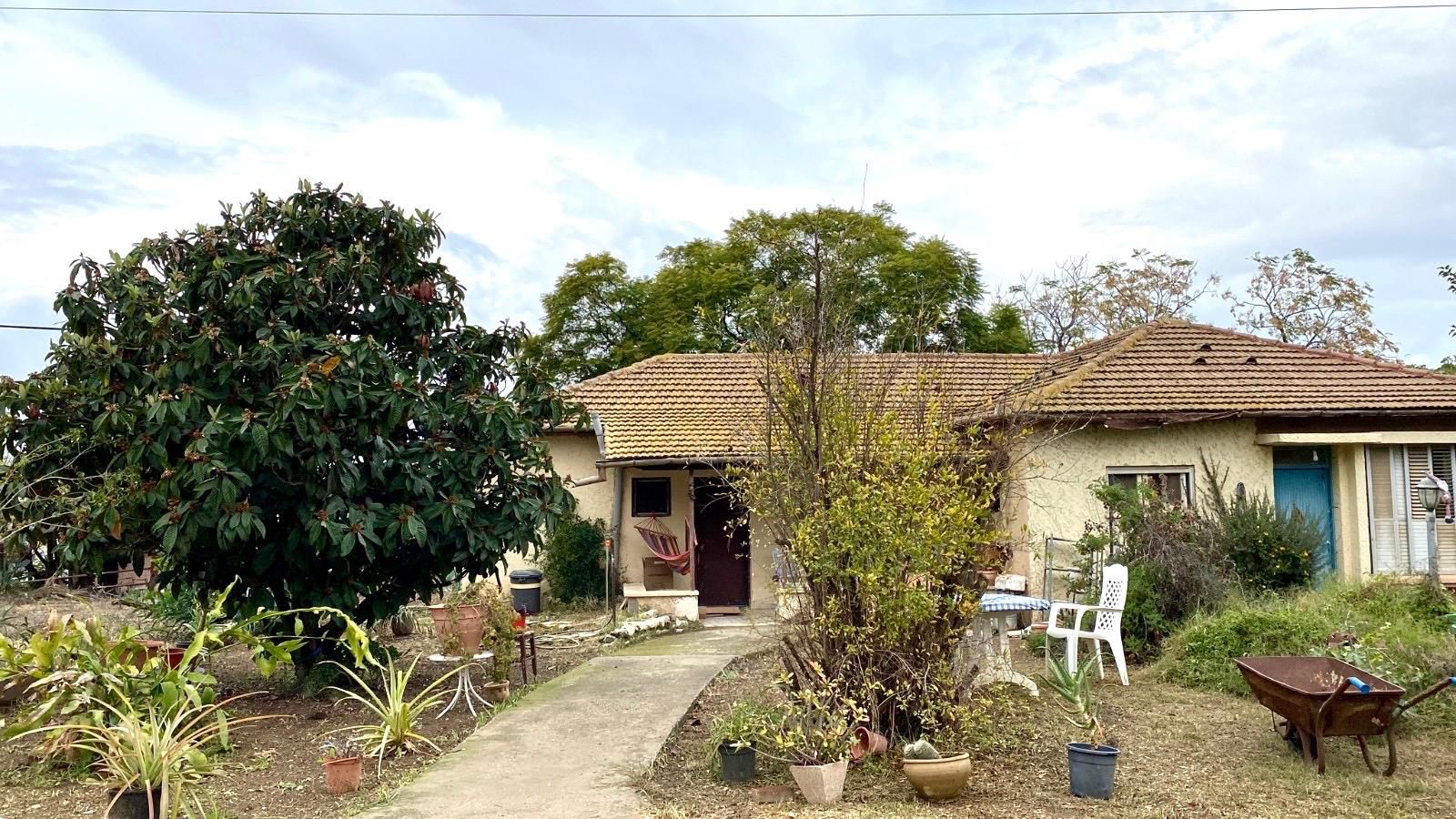 תמונה של WhatsApp‏ 2025-11-21 בשעה 13.42.39_5ed446ba