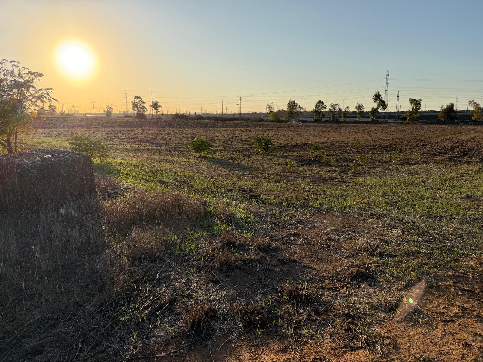 תמונה של WhatsApp‏ 2025-11-30 בשעה 12.45.44_4fc61935