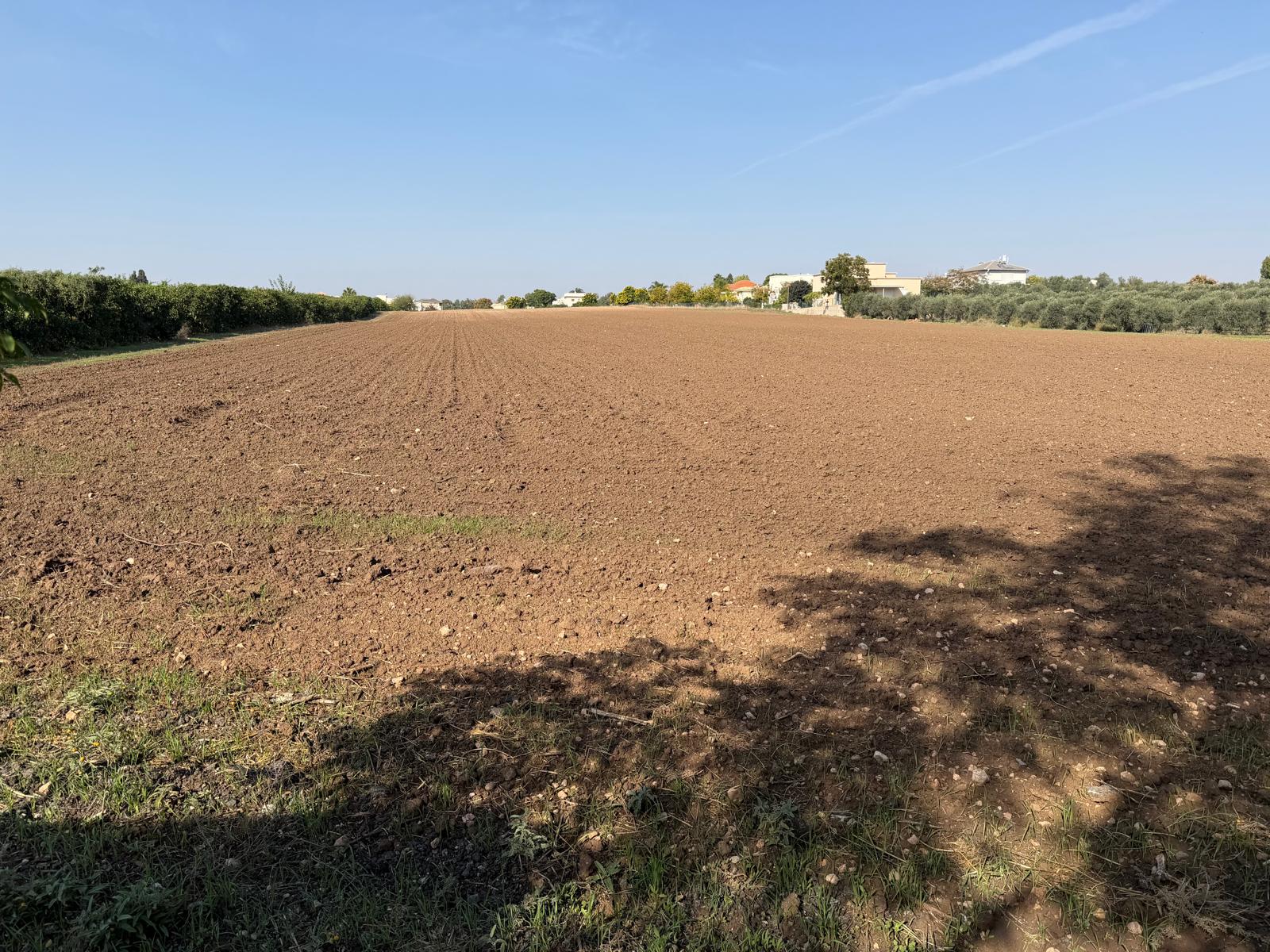 תמונה של WhatsApp‏ 2025-11-30 בשעה 16.53.39_6c86b5a5