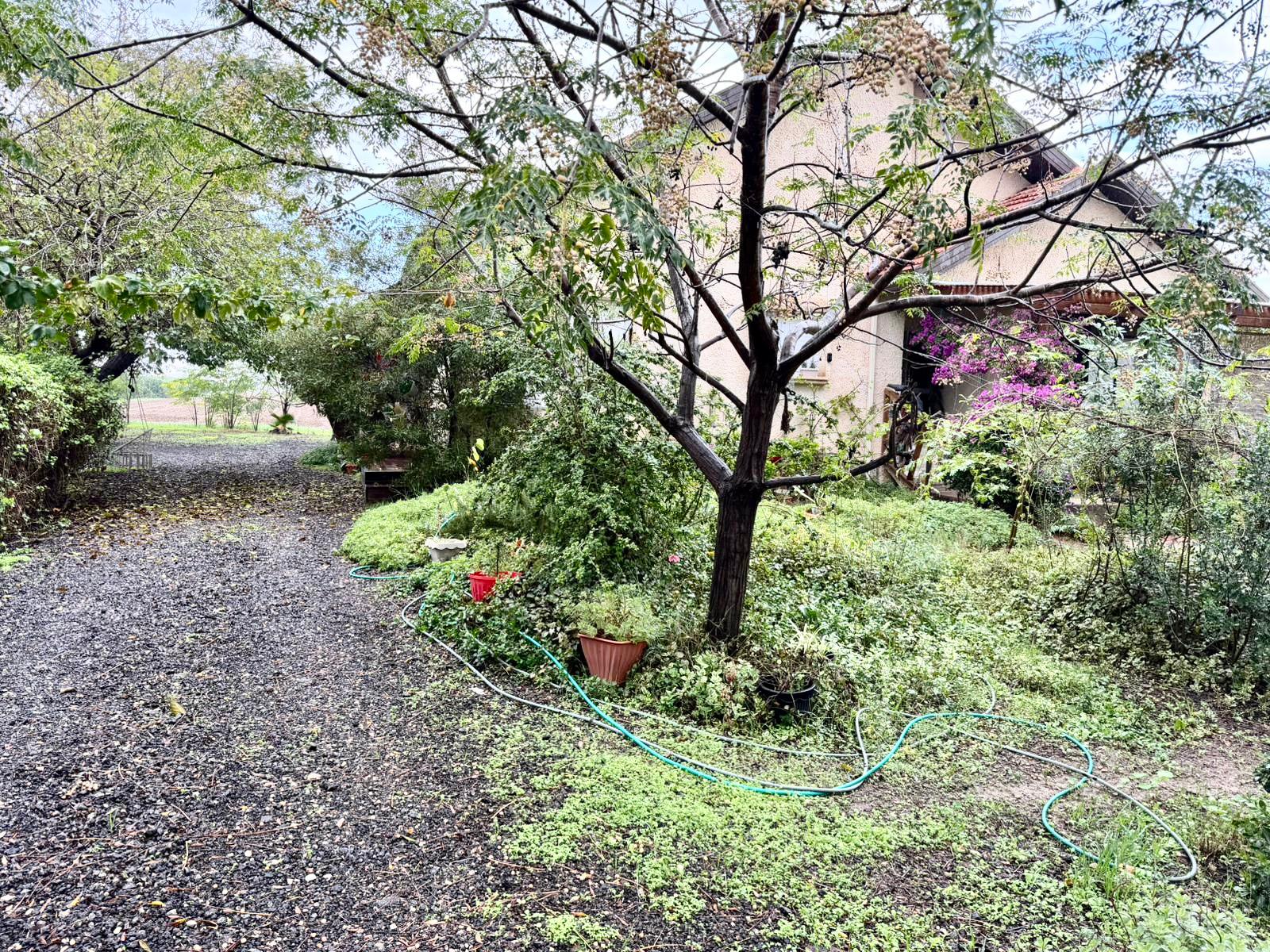 תמונה של WhatsApp‏ 2025-12-12 בשעה 10.15.17_aba05f72