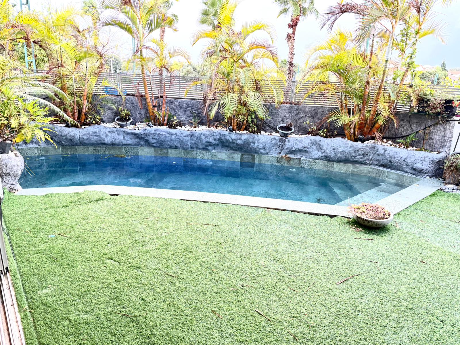 תמונה של WhatsApp‏ 2025-12-29 בשעה 12.52.00_4ca74ccb