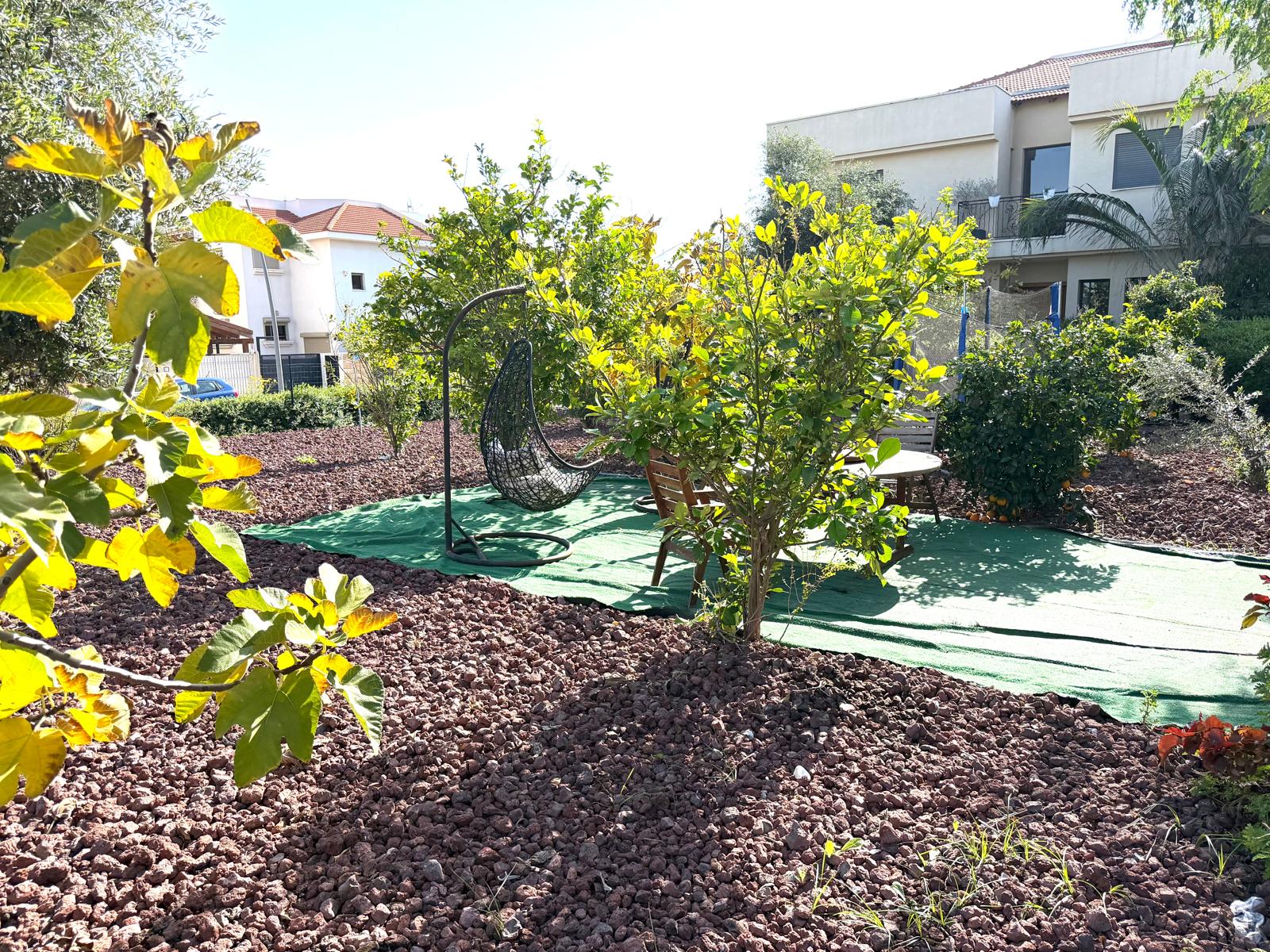 תמונה של WhatsApp‏ 2026-01-05 בשעה 12.47.58_840f38db