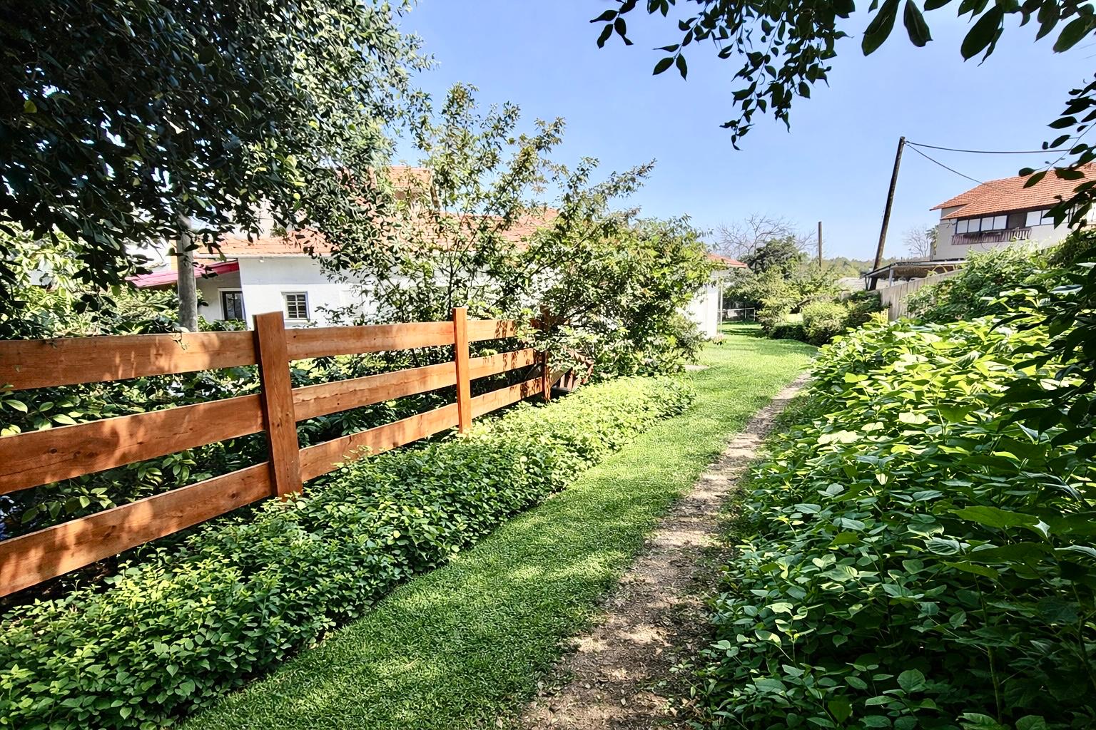 WhatsApp Image 2026-02-12 at 10.25.25