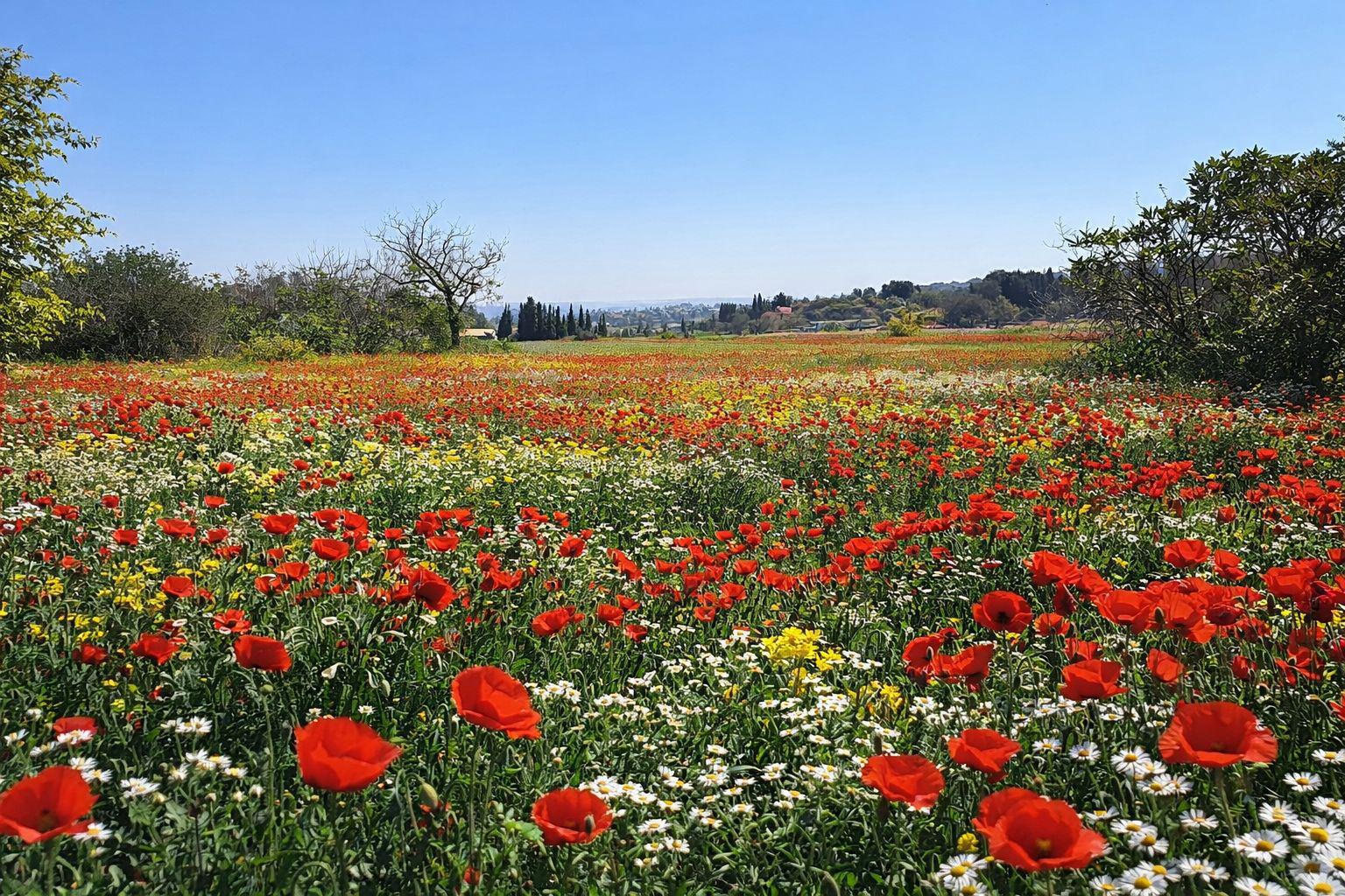 WhatsApp Image 2026-03-16 at 16.05.32