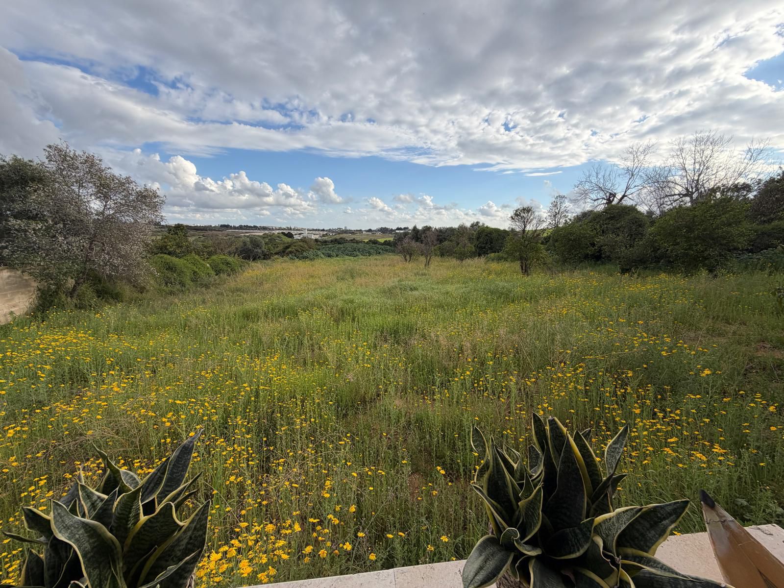 WhatsApp Image 2026-04-12 at 10.00.22